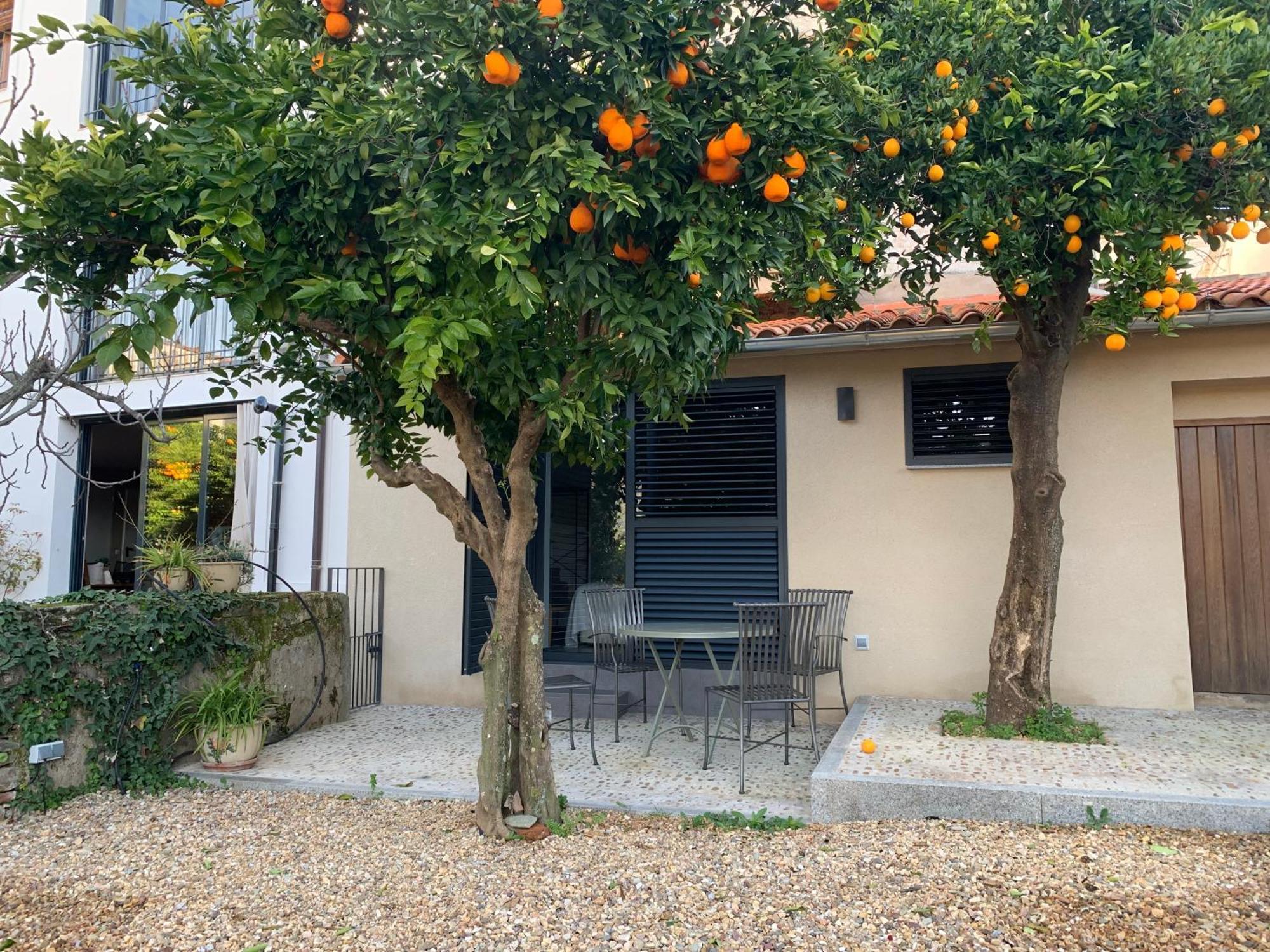 Casa Rural Llana 12 Guadalupe  Kültér fotó